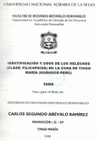Portada local