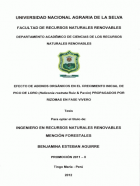 Portada local