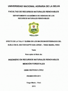 Portada local