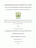 Portada local