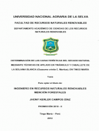 Portada local