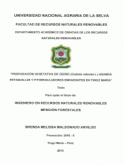 Portada local