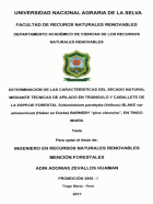Portada local