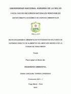 Portada local