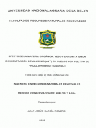 Portada local