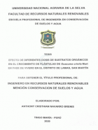 Portada local