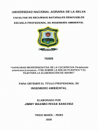 Portada local