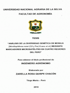 Portada local