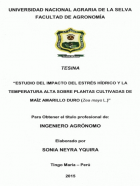 Portada local