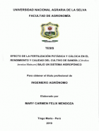 Portada local