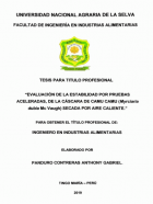 Portada local