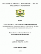 Portada local