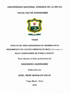Portada local