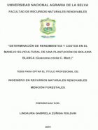 Portada local