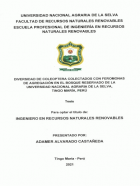 Portada local