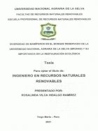 Portada local