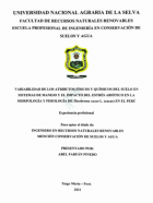 Portada local