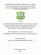 Portada local