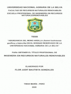 Portada local
