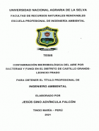 Portada local