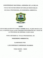 Portada local