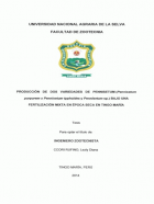 Portada local