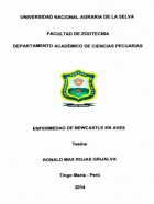 Portada local