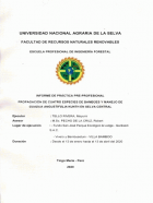 Portada local