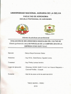 Portada local
