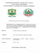 Portada local