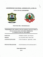 Portada local