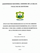 Portada local