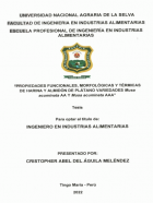 Portada local