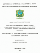 Portada local