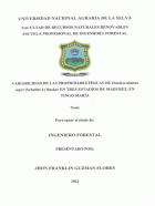 Portada local
