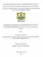 Portada local