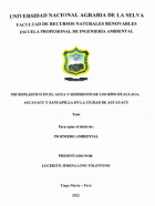Portada local