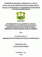 Portada local