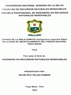 Portada local