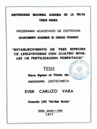 Portada local
