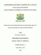 Portada local