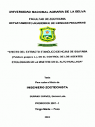 Portada local