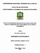 Portada local