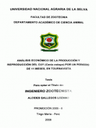 Portada local