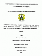 Portada local