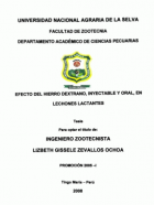 Portada local