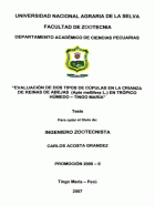 Portada local