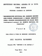 Portada local