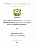 Portada local