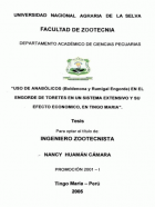 Portada local